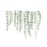 autocolant decorativ pentru multiple suprafete frunze de plante cataratoare si liane 55 x 45 cm 248009